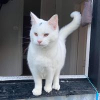 Photo of Birdie & Boo🐦