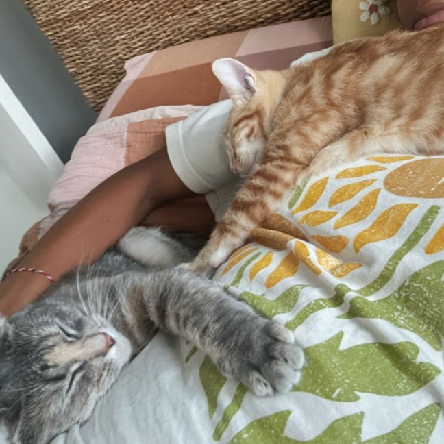 Photo of Valyria Emmie