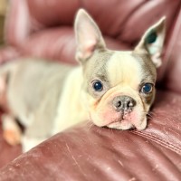 Photo of Marcus