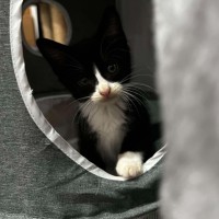 Photo of Ruby