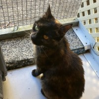 Photo of Zoe