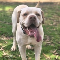 Photo of Tommy