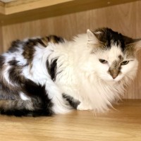 Photo of River And Tyra