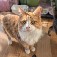 Photo of Mort