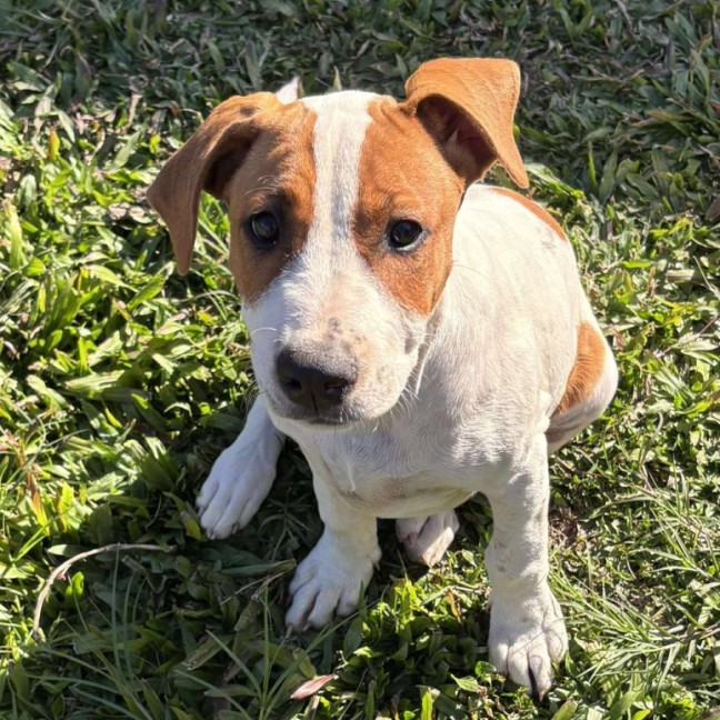 Photo of Lucy