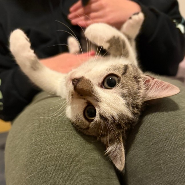 Photo of Emergency Exit