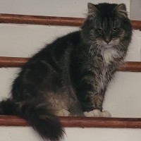 Photo of Joane