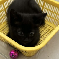 Photo of Charlie