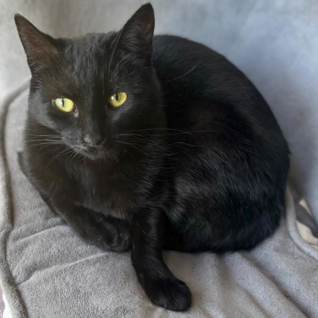 Photo of 🐭 Amara 🐭