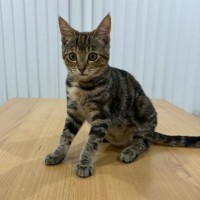 Photo of Narla