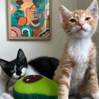 Photo of Carter & Nelson