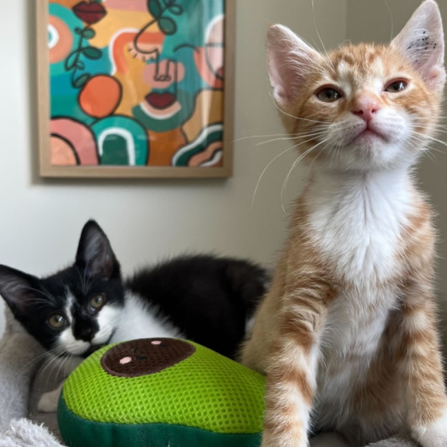 Photo of Carter & Nelson