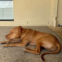 Photo of Murphy