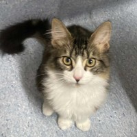 Photo of Kevin   Located In Kew