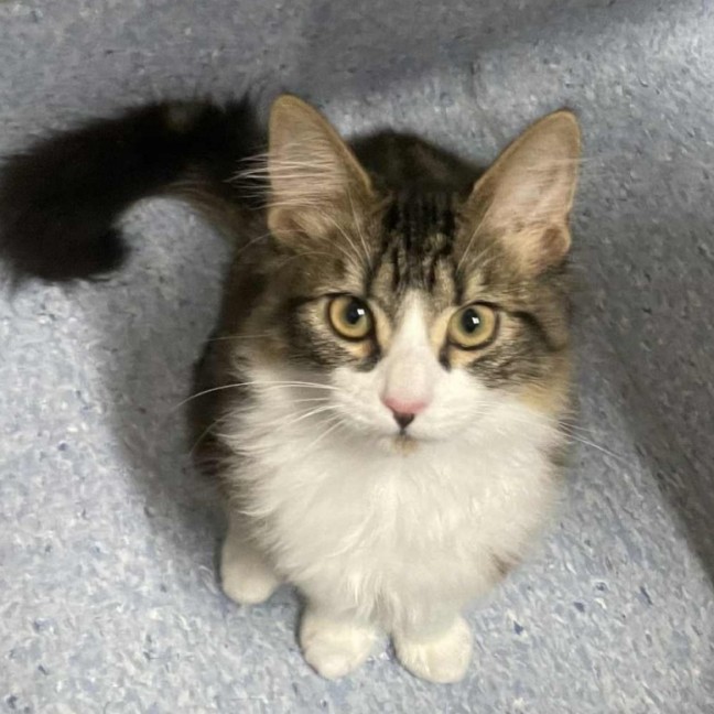 Photo of Kevin   Located In Kew