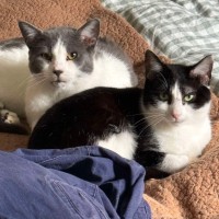 Photo of Wilhelmina (Wilma)