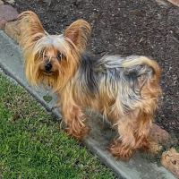 Photo of Tess