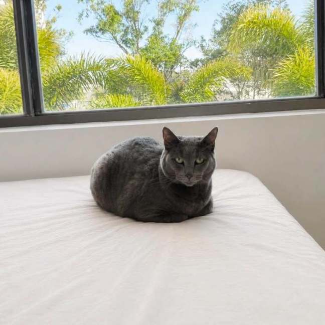 Photo of Sage