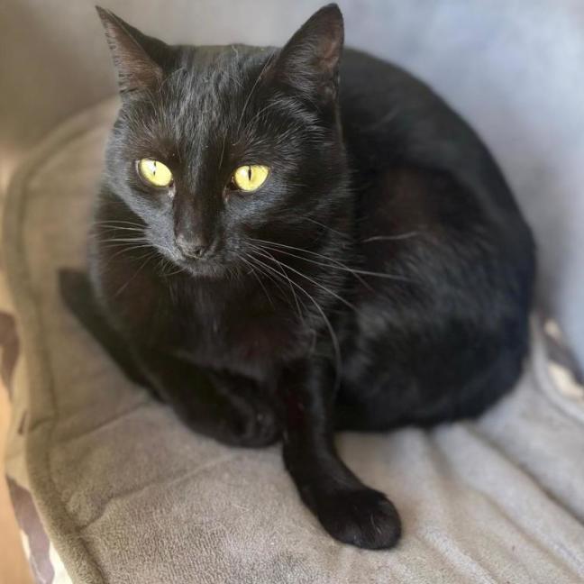 Photo of 🐭 Amara 🐭