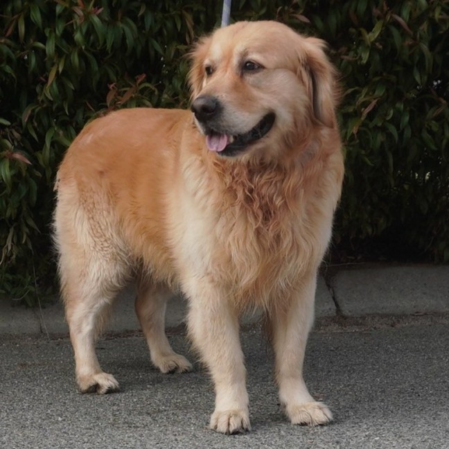 Photo of Carson
