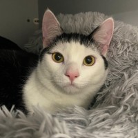Photo of Mighalo