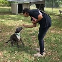 Photo of Bluebelle
