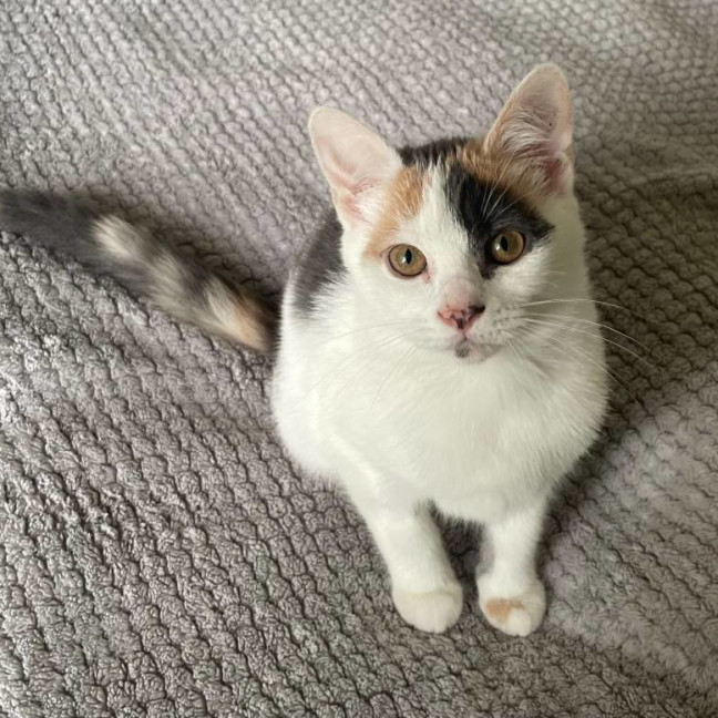 Photo of Juni