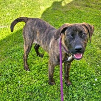 Photo of Myla