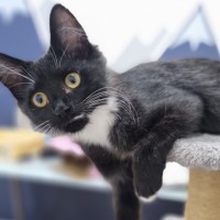 Photo of Ivy