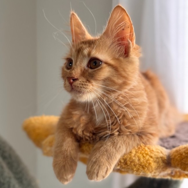 Photo of Zeus