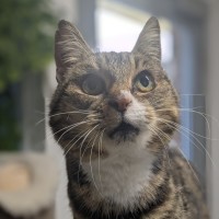 Photo of 🌱 Mochi 6381 🌱