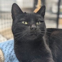 Photo of 🌮 Frankie 6184 🌮