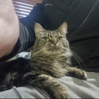 Photo of Mei Mei 