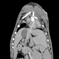 Photo of 🥓 Eazy 6370 🥓