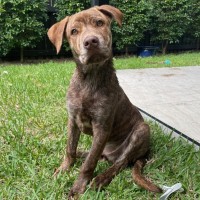 Photo of Benson 