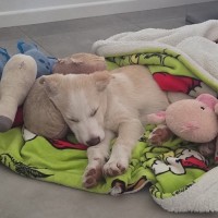 Photo of Keanu