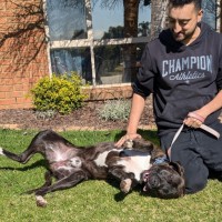 Photo of Stryker