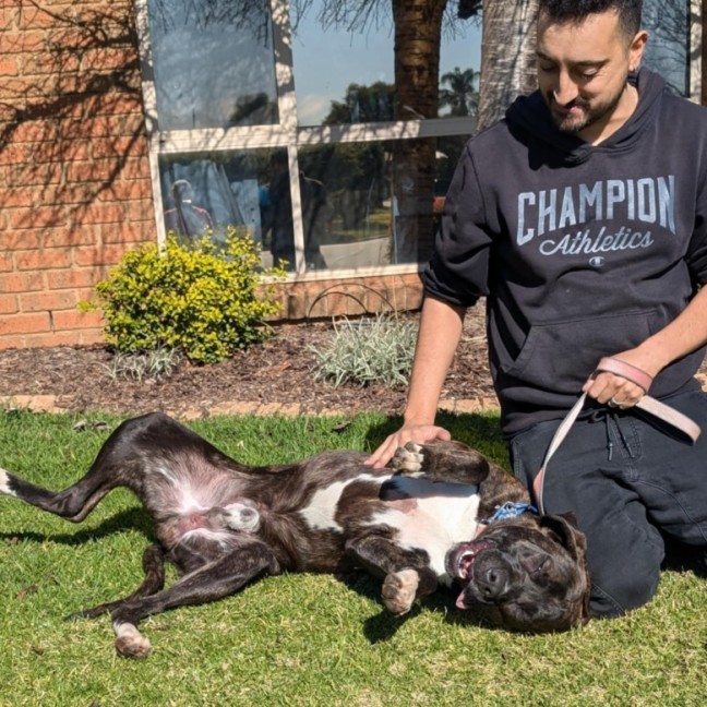 Photo of Stryker