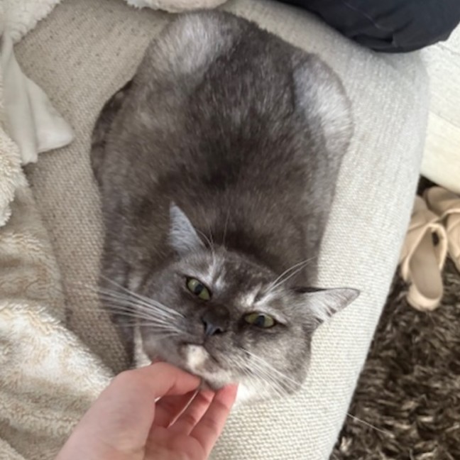 Photo of Mila   Located In Melbourne