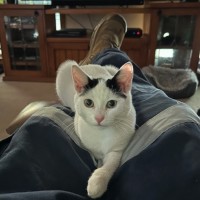 Photo of Lillie 🌷🌷🌷