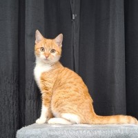 Photo of Claudia