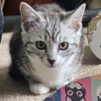 Photo of Ivy