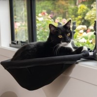 Photo of Bruce