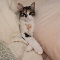 Photo of Jade 