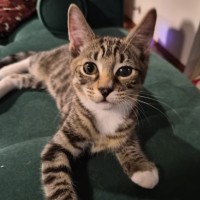 Photo of Nigel Mittens 