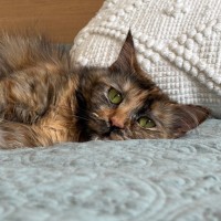Photo of Agatha