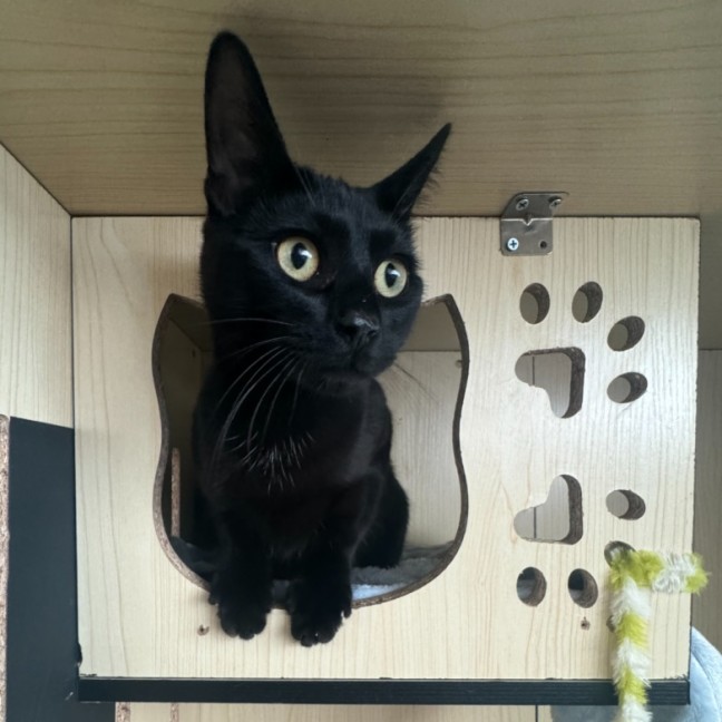 Photo of Jack   Located In Cranbourne