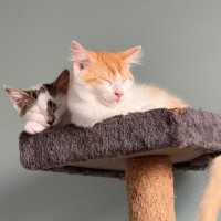 Photo of Kalli And Carlos 