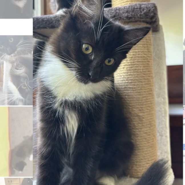 Photo of Sage & Rosemary 