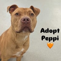 Photo of Peppi
